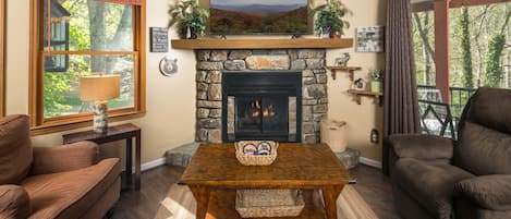 TV, fireplace, DVD player
