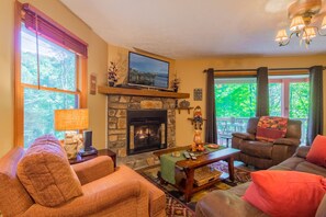 TV, fireplace, DVD player