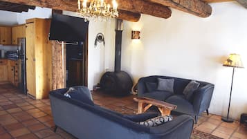 Televisión, chimenea, reproductor de DVD y libros