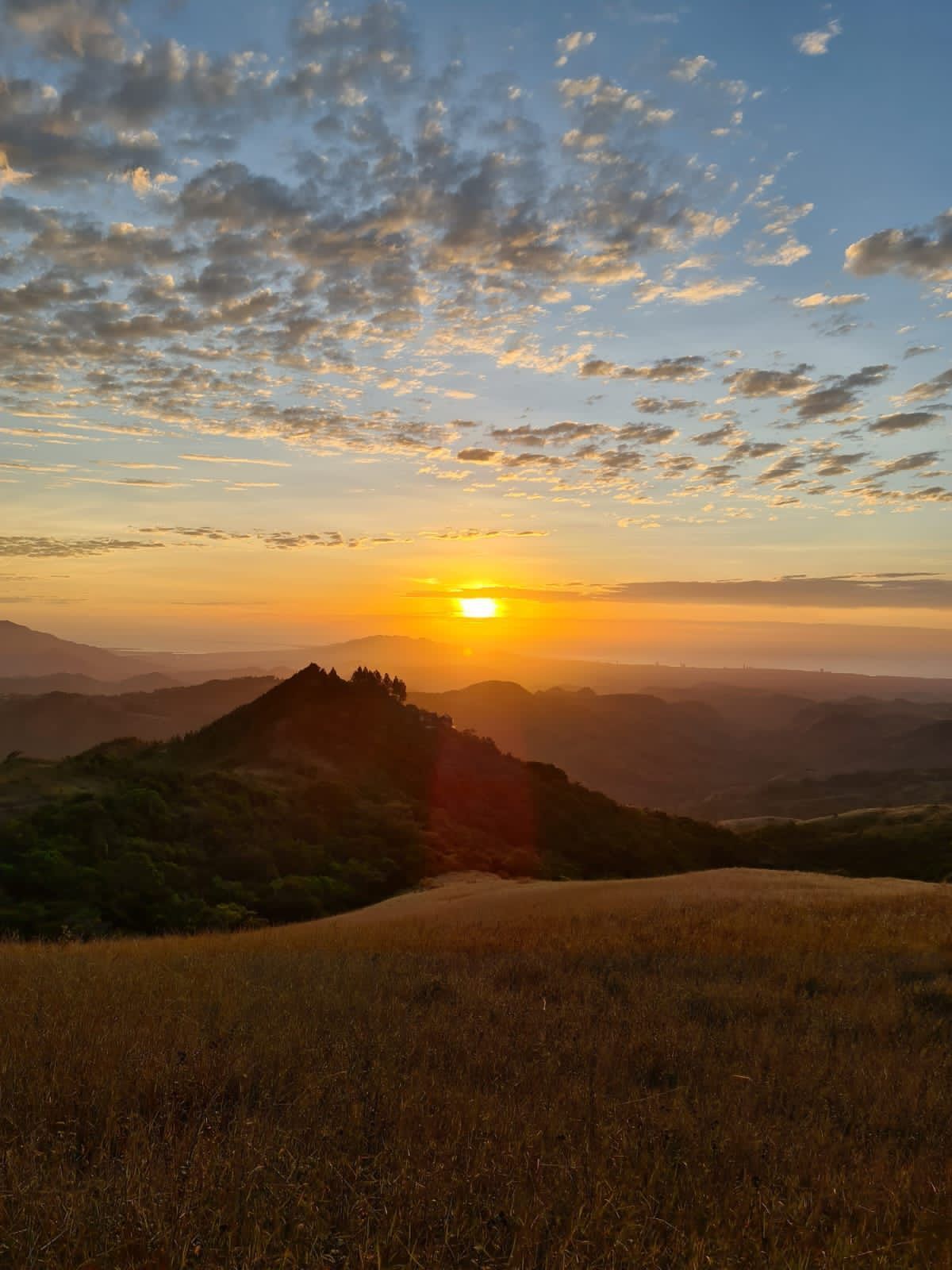 Photo - VillaHermosa B&B