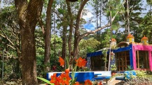 A garden with a large tree, a hanging pot with a yin-yang symbol, and a building with colorful architecture. - VillaHermosa B&B (Sorá)