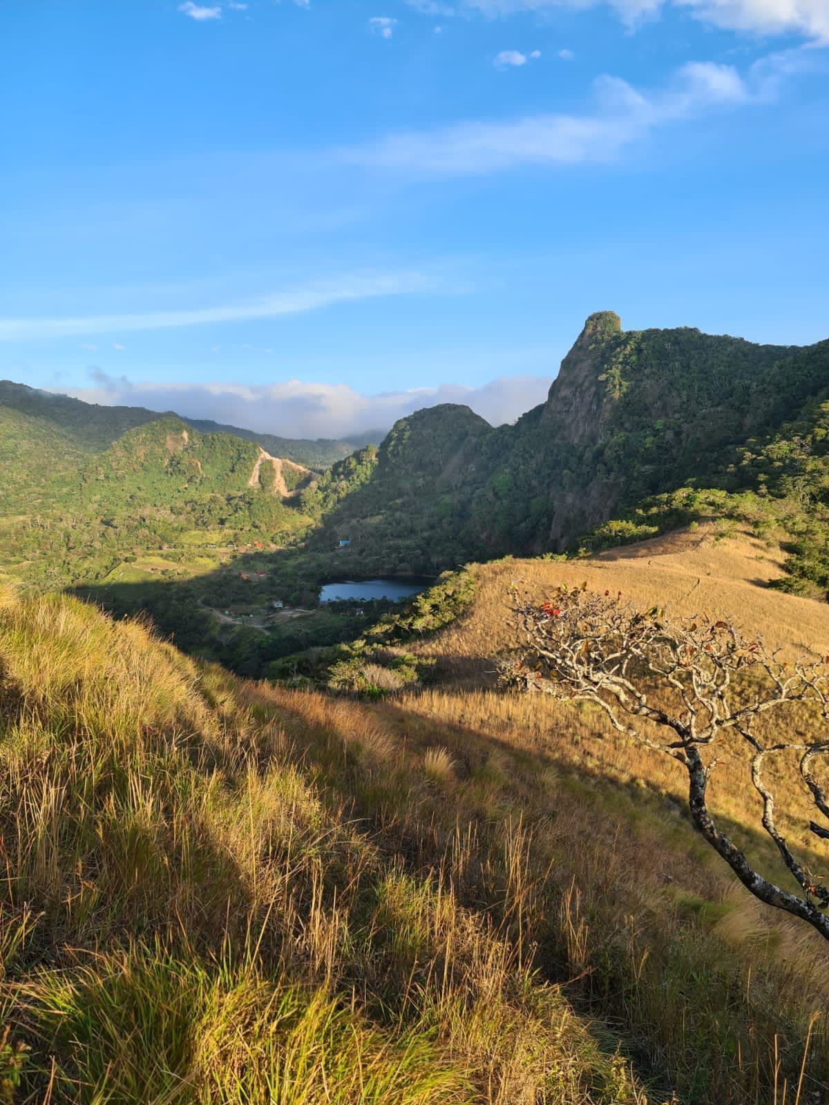 Photo - VillaHermosa B&B