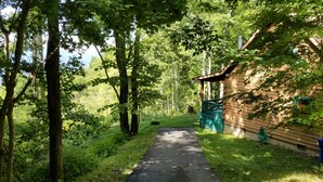 Uklassifisert bilde, 3 av 37, knapp
