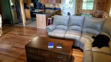 Smart TV, fireplace, DVD player, books