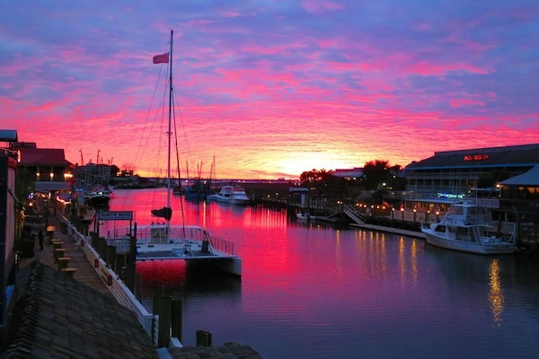 Shem Creek 2 miles from house
Rent Kayak's And Paddle Board
Restaurants & Sunset