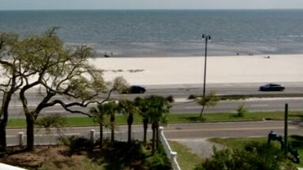 Vista costera con playa, palmeras y una carretera.