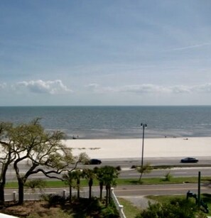 A coastal view with a beach, palm trees, and a road. - Beautiful  Beachview 4 BR/2 Bath Home, 7 Beds, Sleeps 13 (Gulfport)