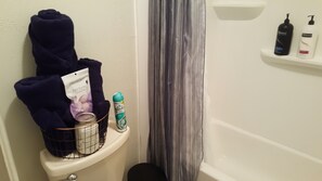 Hair dryer, towels, soap, shampoo
