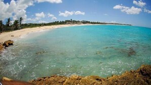 A beach with clear turquoise water, sandy shore, and palm trees.