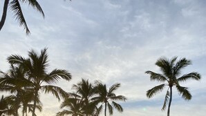 A beach path lined with palm trees and a sunset in the background. - Ocean View Home (Kailua-Kona)