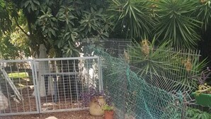 Family Apartment, 2 Queen Beds, Non Smoking | Balcony - Relax in Forest (Kiryat Tiv'on)