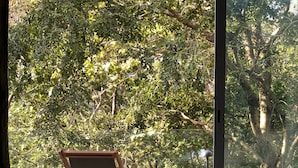 Un balcon donnant sur un feuillage dense, une petite table et deux chaises en bois.
