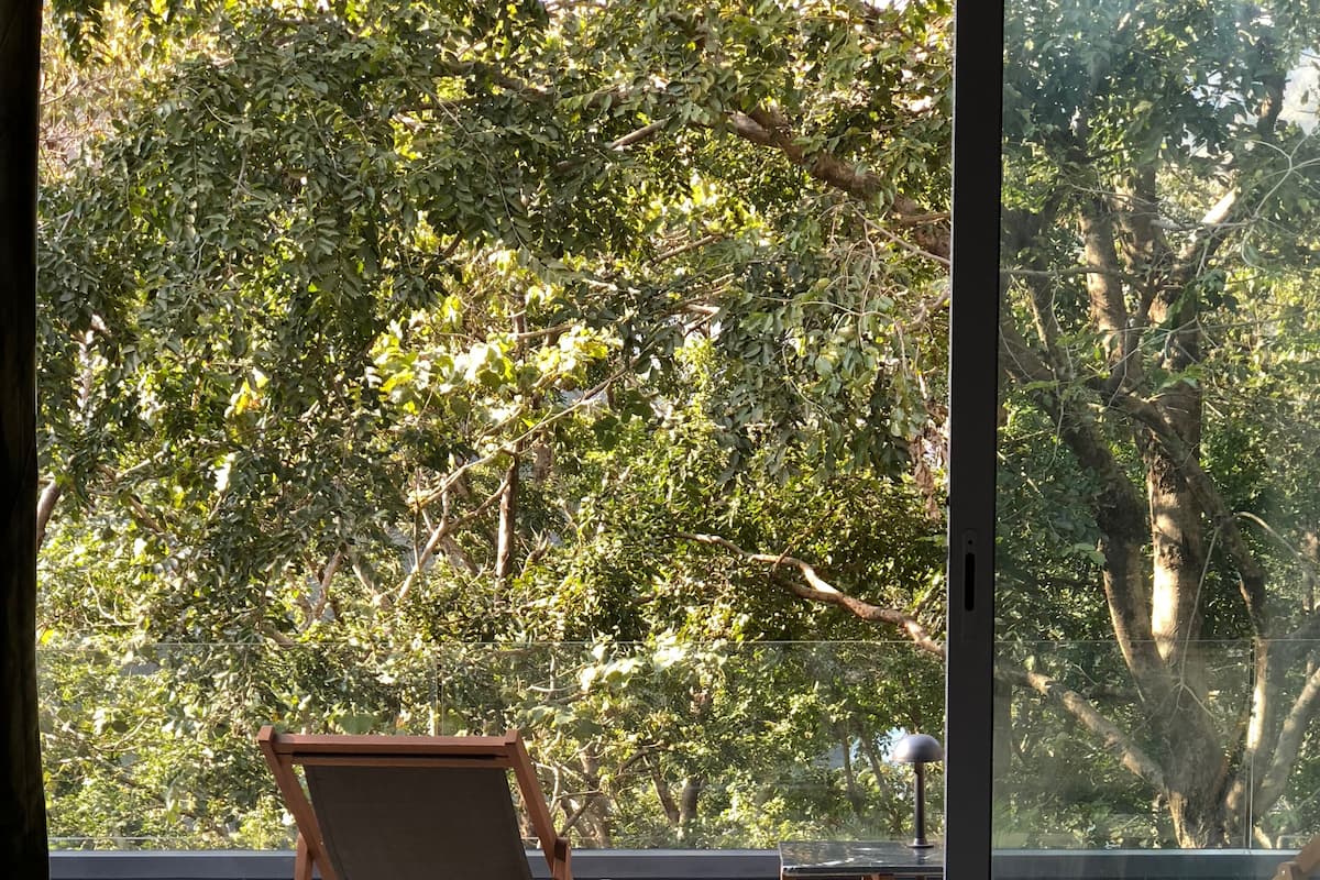 A balcony with a view of dense foliage, a small table, and two wooden chairs.