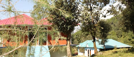 Taman