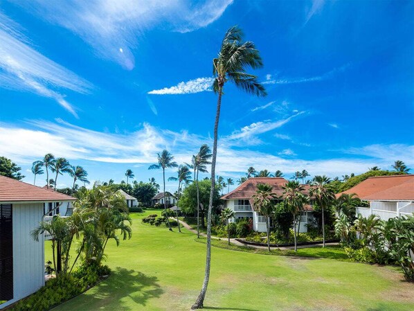 A residential area with houses, a well-maintained lawn, and palm trees. - Poipu Style! Enjoy WiFi, Flat Screen, DVD, Kitchen, Lanai+Ceiling Fans–Kiahuna 2327 (KOLOA)