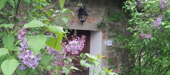 Cozy welcoming apartment for a lovely stay