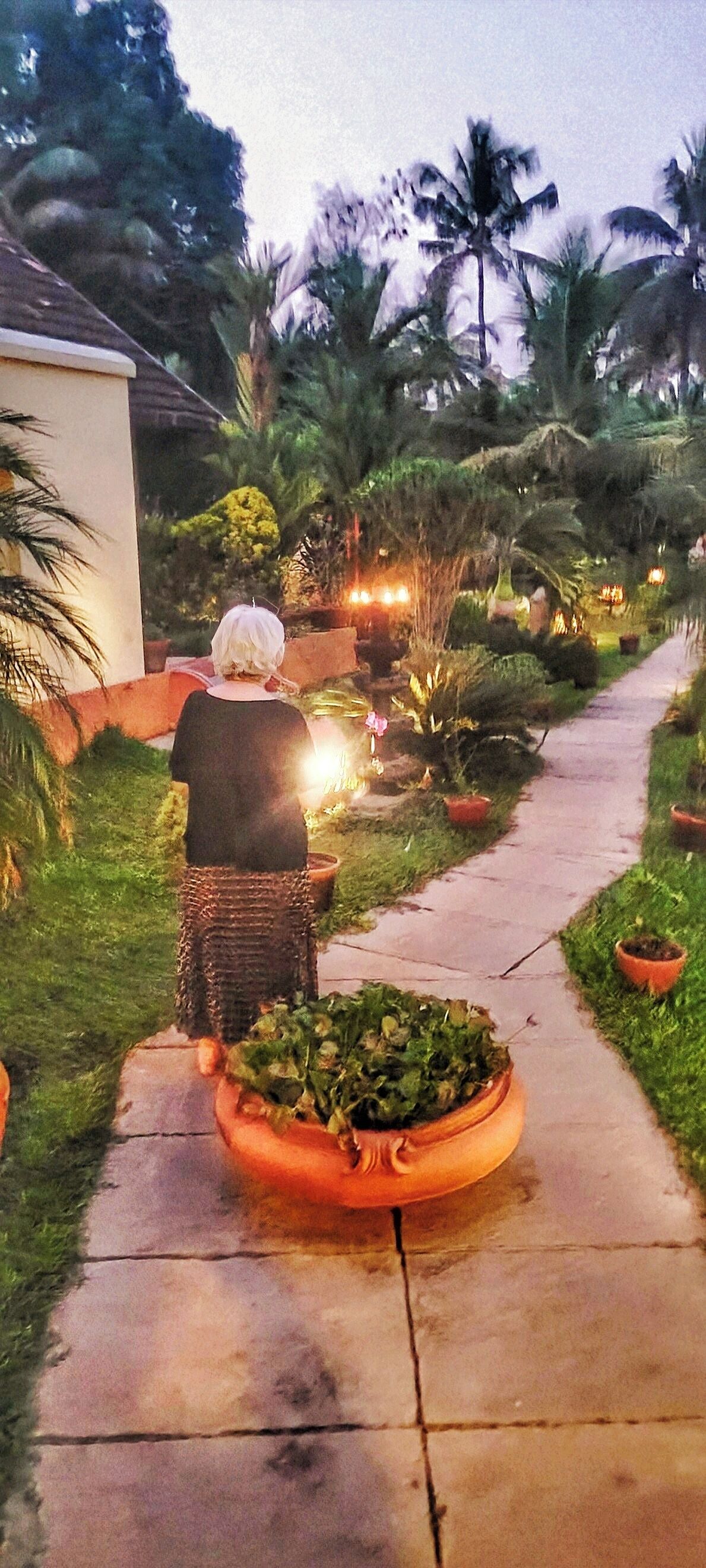 Ein Weg schlängelt sich durch einen Garten mit Kübelpflanzen und Palmen.