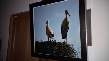 A television mounted on a wall displaying two birds standing on a nest.