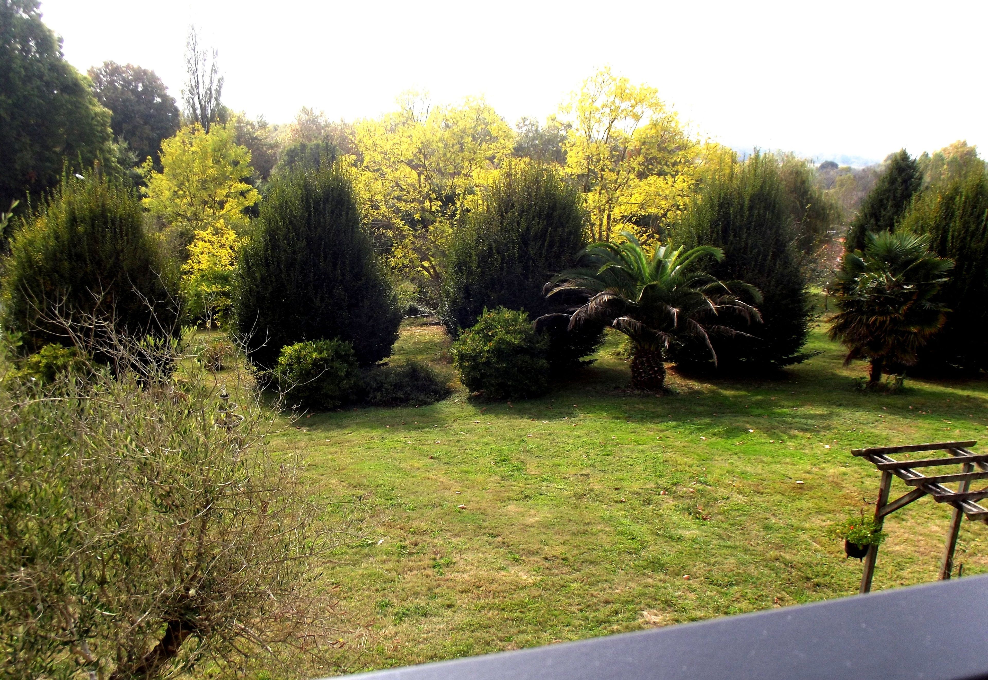 Ein Garten mit verschiedenen Bäumen und Sträuchern, einer Rasenfläche und einem Holzbau.