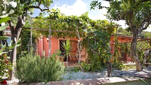 Un jardín con un pérgola, un edificio rojo y diferentes plantas.
