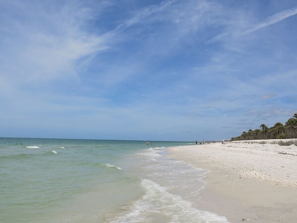 Sun-loungers, beach towels