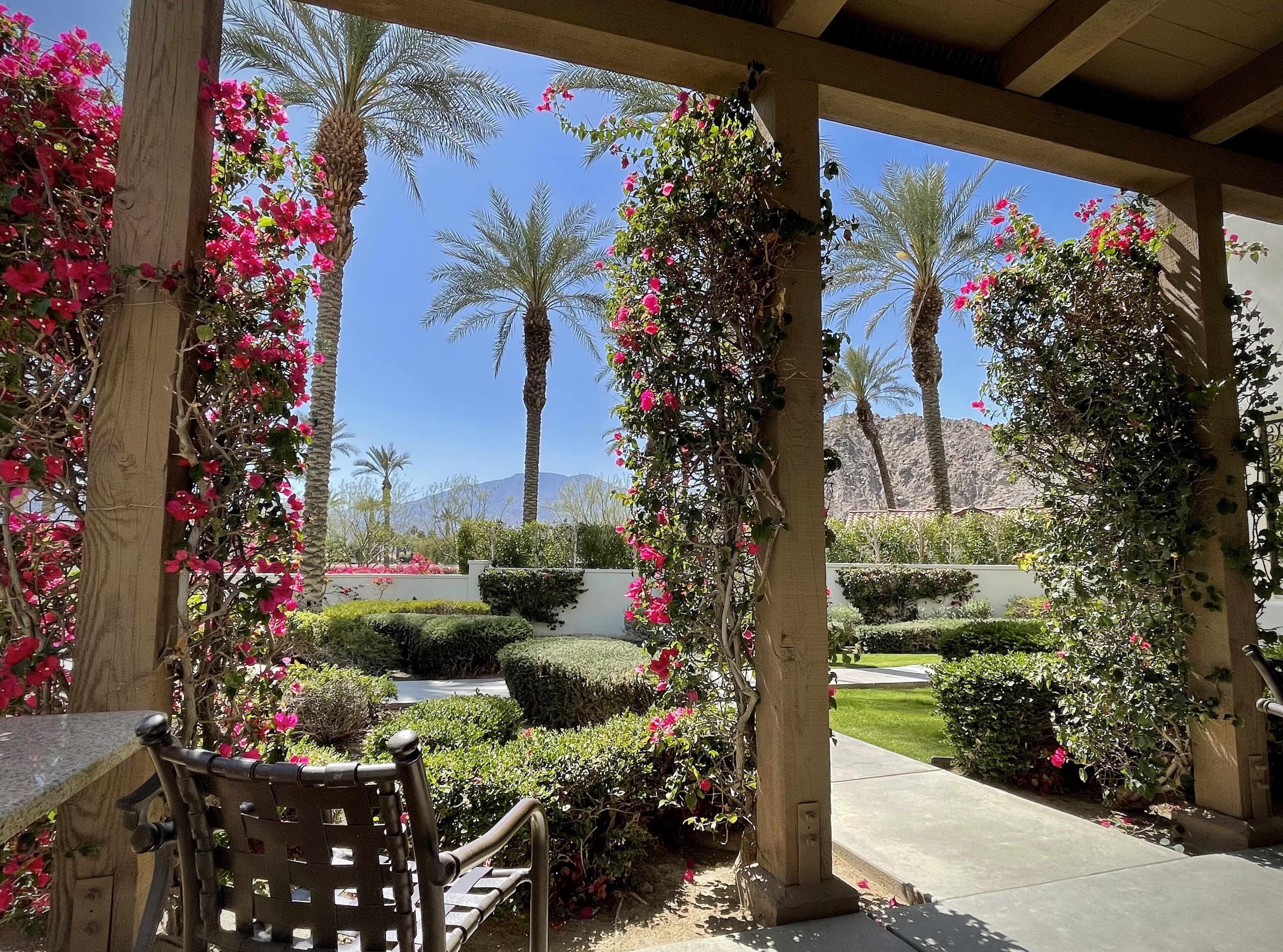 テラス / パティオ