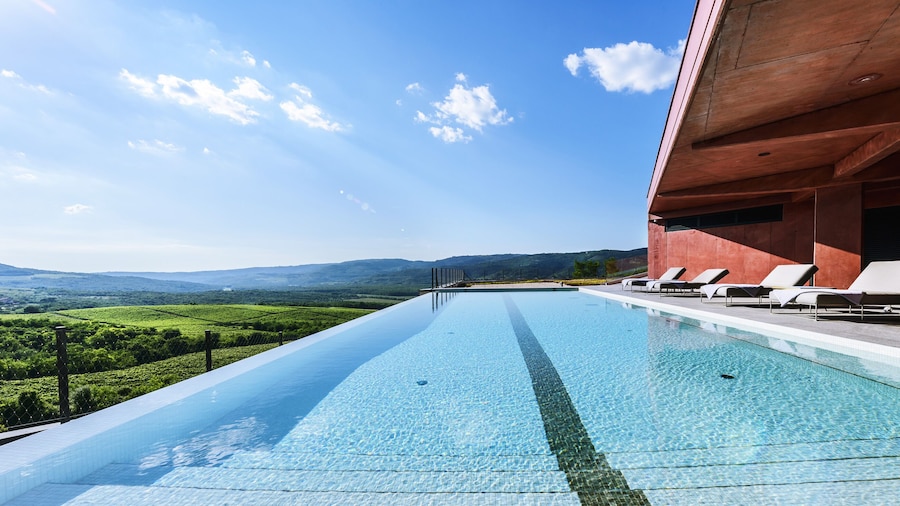 Winery & Design hotel ROXANICH