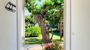 A doorway leading to a garden with a tiled floor and decorative vases. - Il Giardino fra gli Ulivi (Torino di Sangro)
