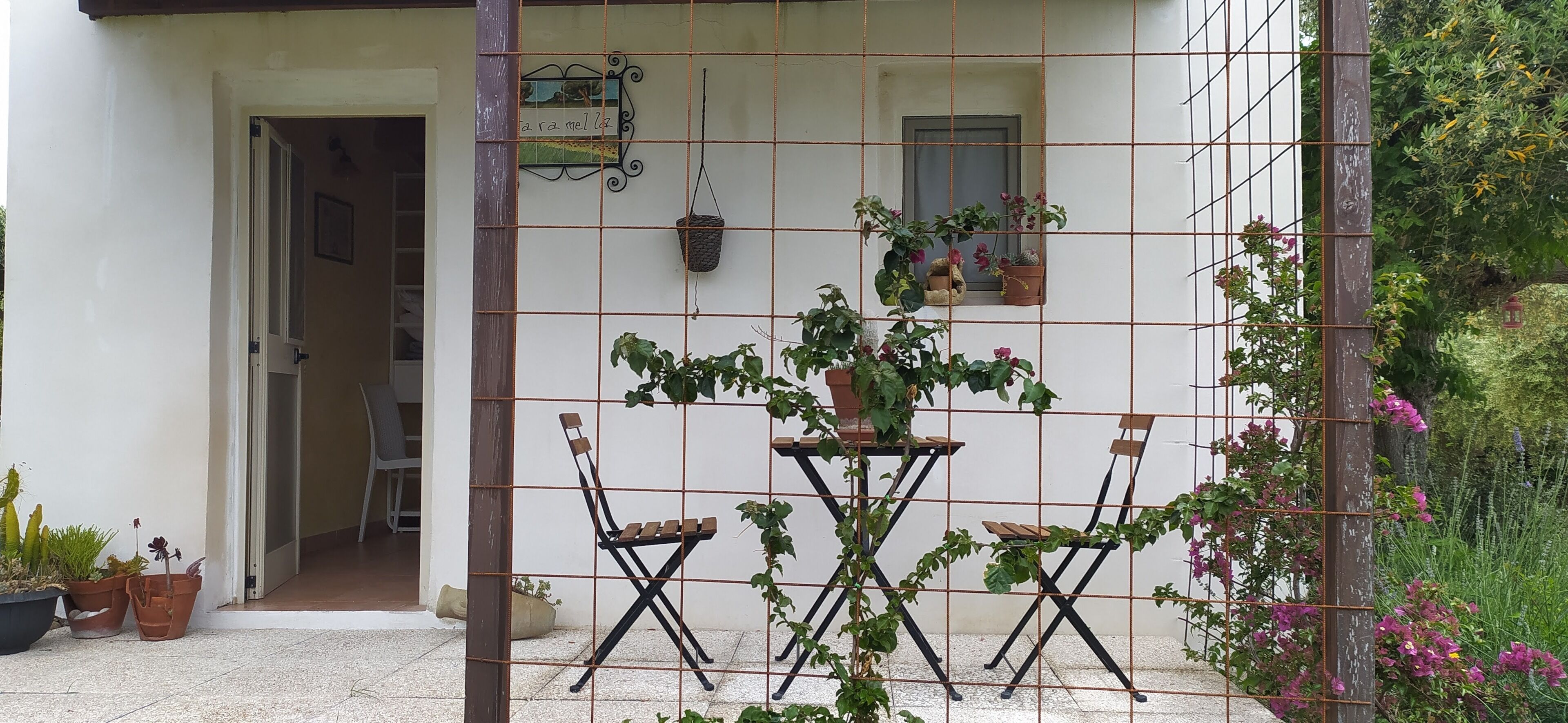 A patio with a table and chairs, surrounded by potted plants and a wire fence.