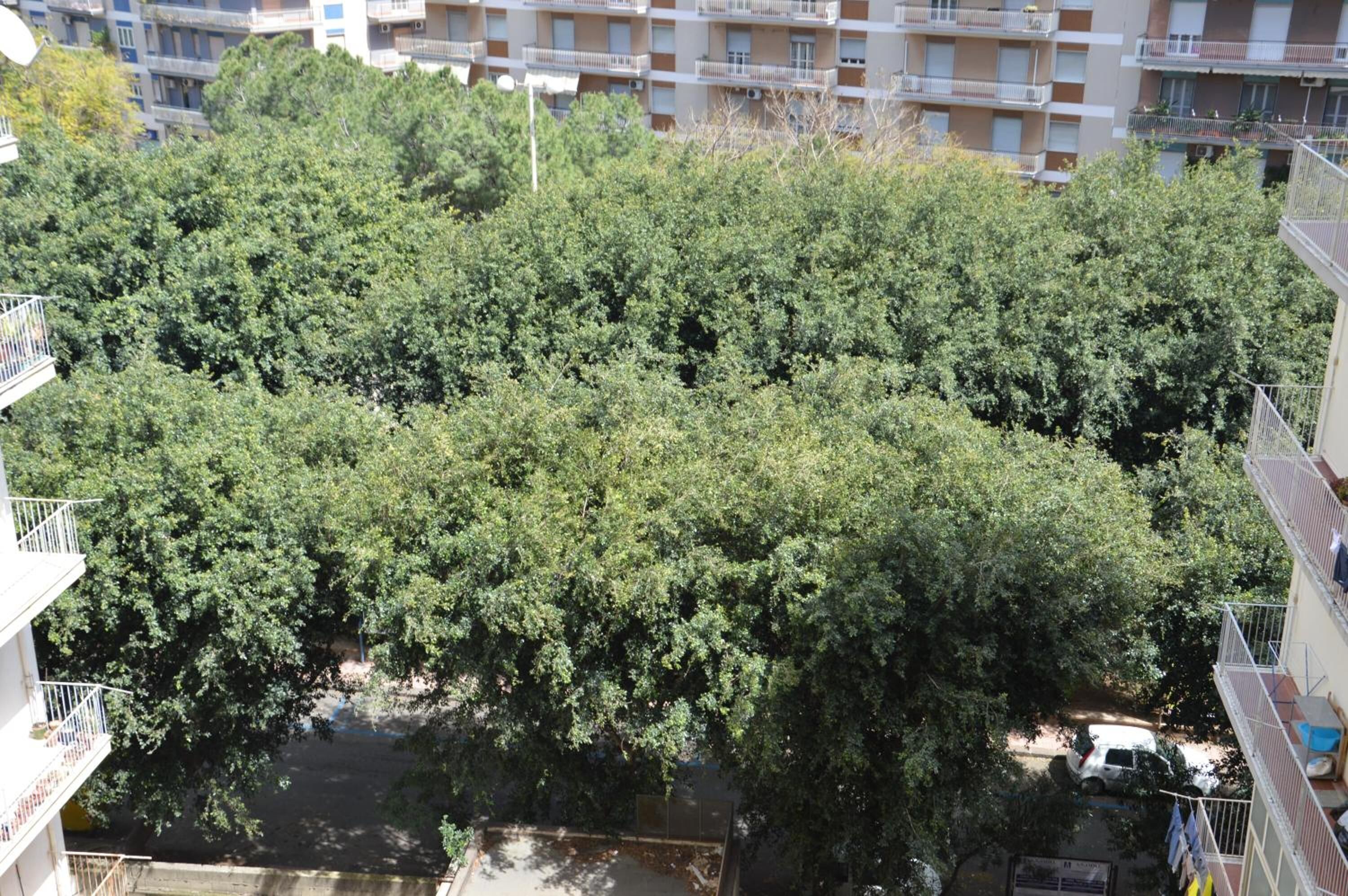 Photo - Michelangelo Rooms