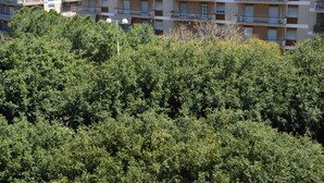 Un edificio residencial de varios pisos con balcones y unidades de aire acondicionado.