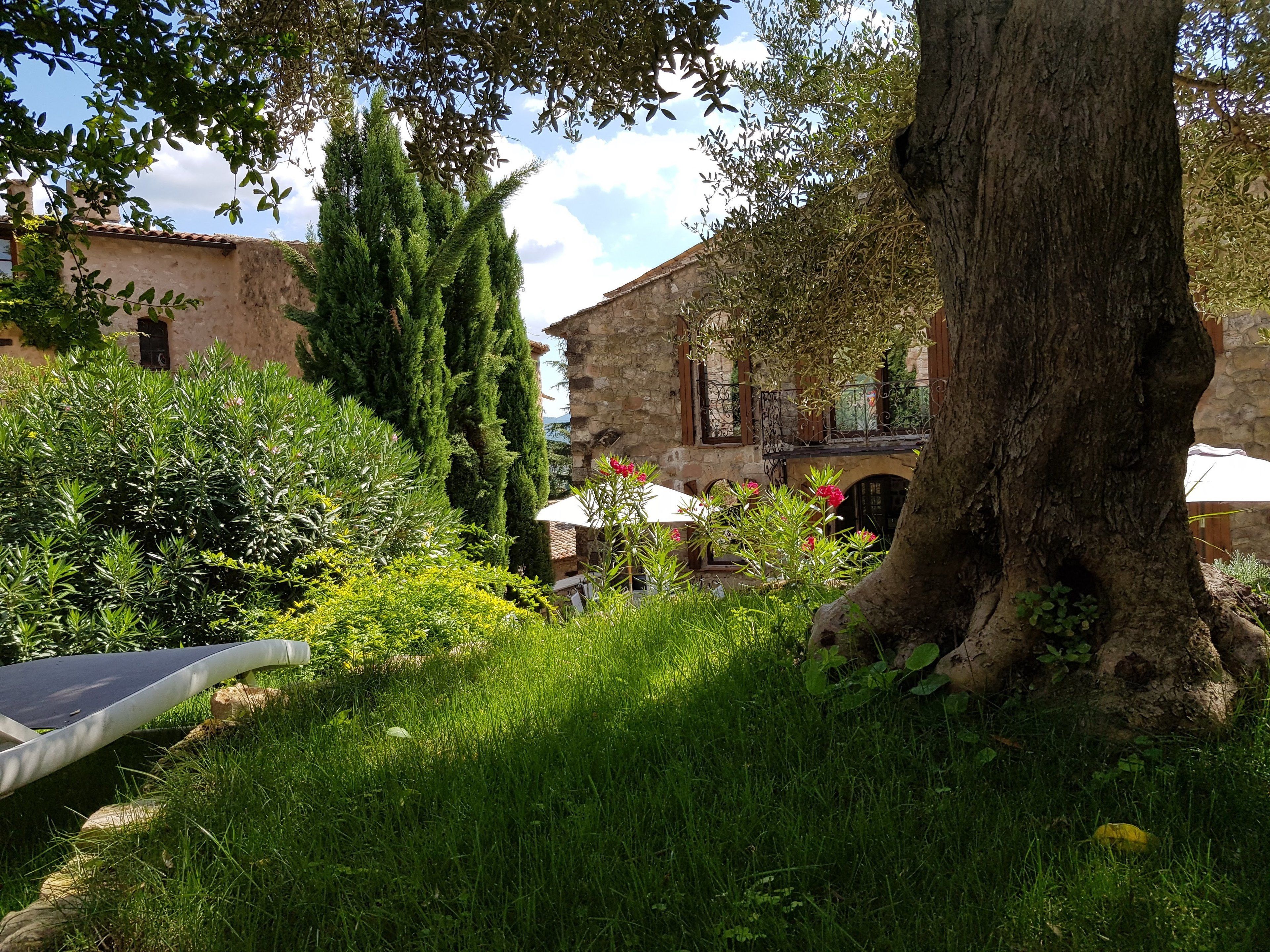 A courtyard with a stone building, a large tree, and lush greenery.