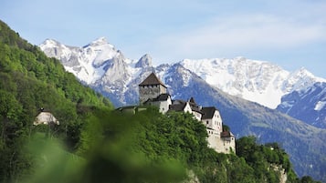 Un castillo en una colina con montañas nevadas al fondo.