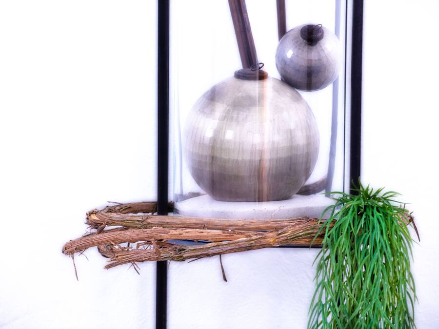 Een decoratieve opstelling met een vaas, twee takken en een hangplant voor een witte muur.