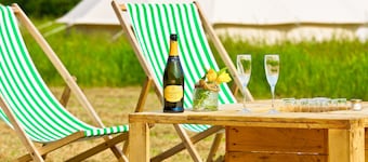 Canvas and Stars at Hale Farm