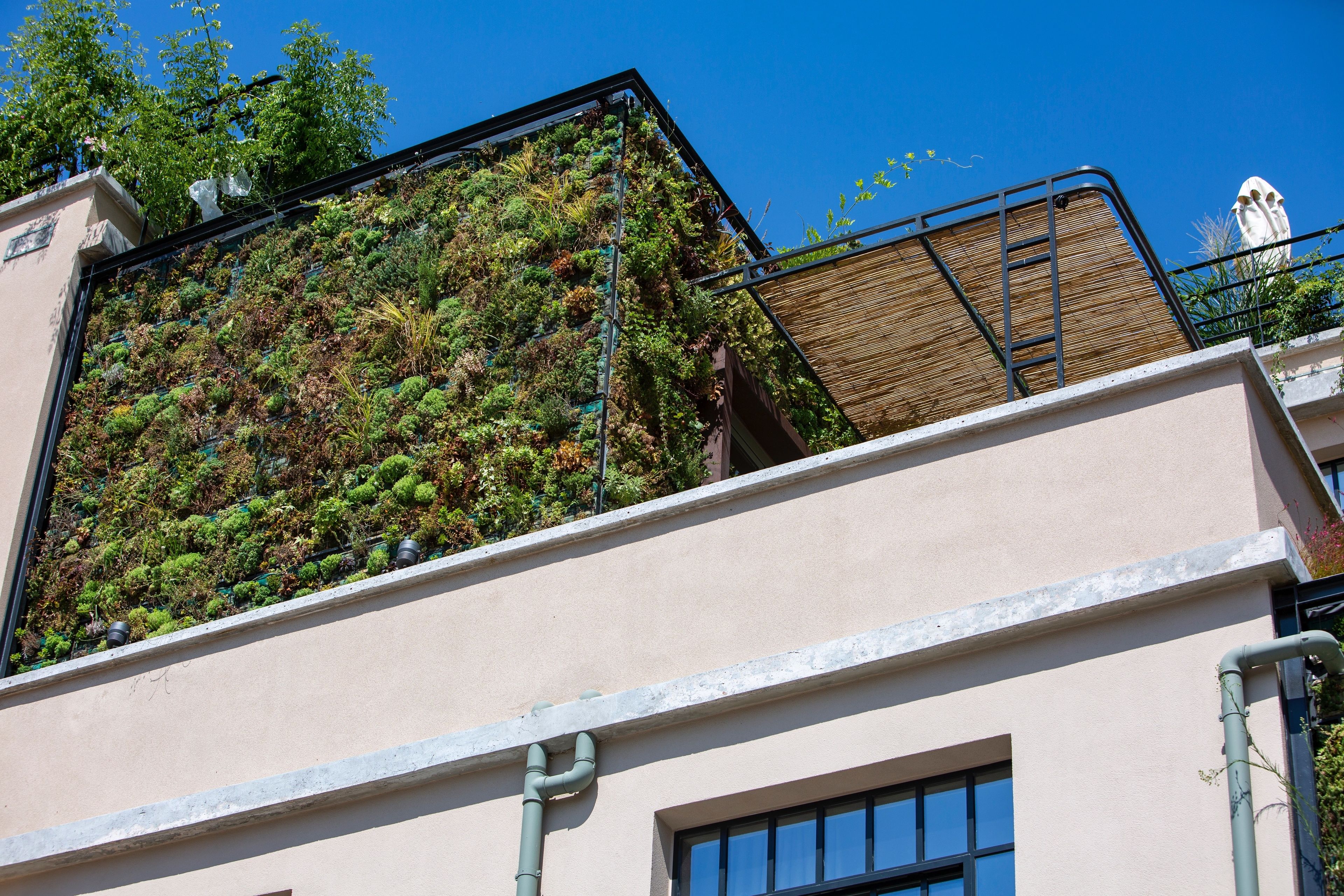 Foto - The Foundry Suites