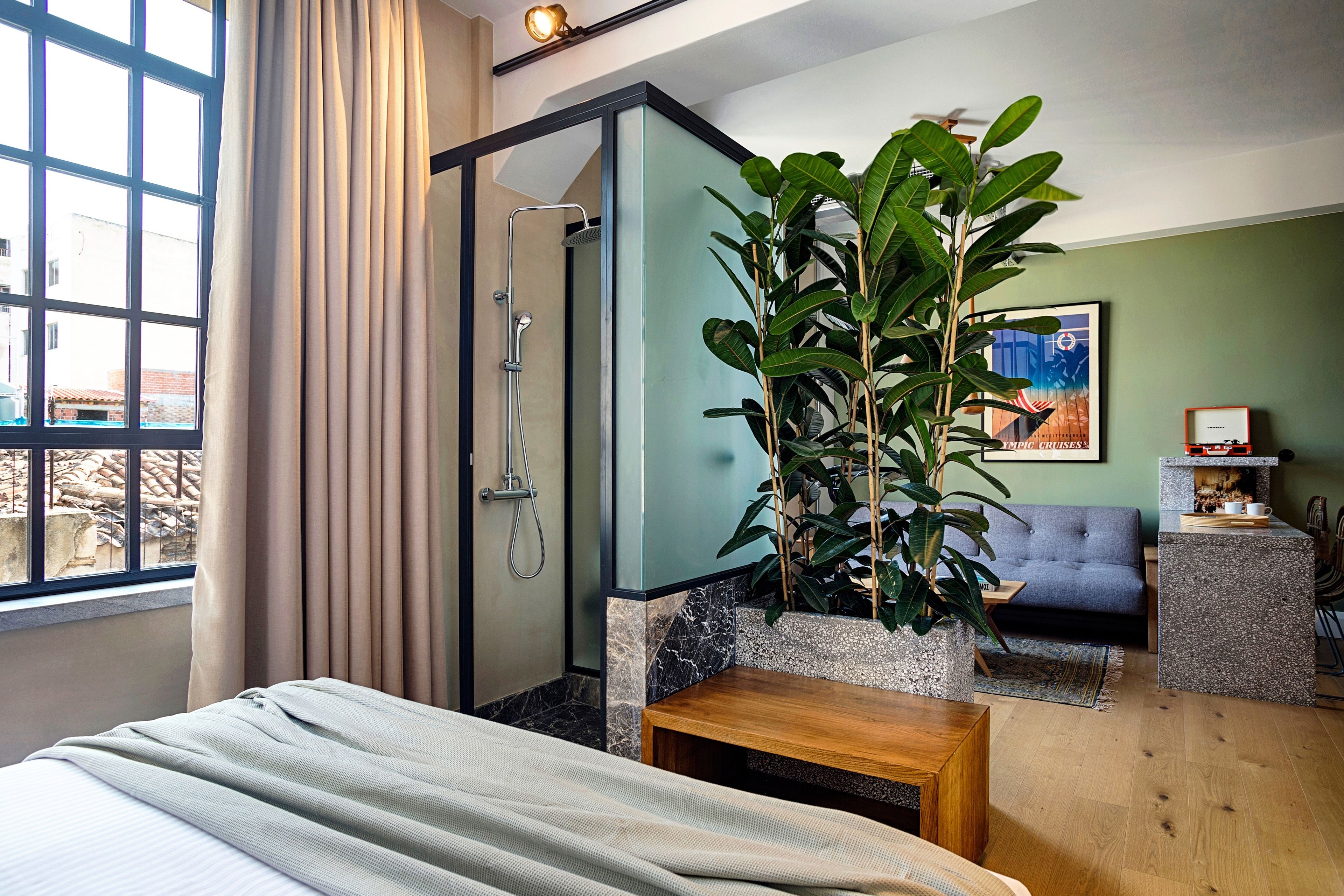 Habitació d'hotel amb llit, dutxa, sofà, taula de cafè i una planta gran.
