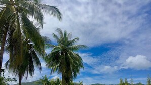 A tropical landscape with palm trees and a mountain in the background. - Bussarin Mansion (Ko Yao)