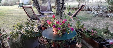 Terrasse/Patio