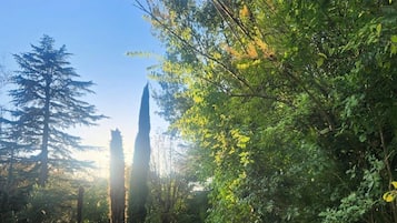 Exterieur