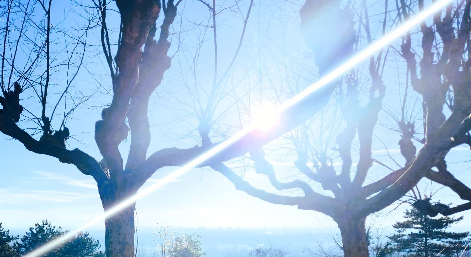 Foto - Parc de Biodiversité Le Castel - Maison d'hôtes & Table Bio