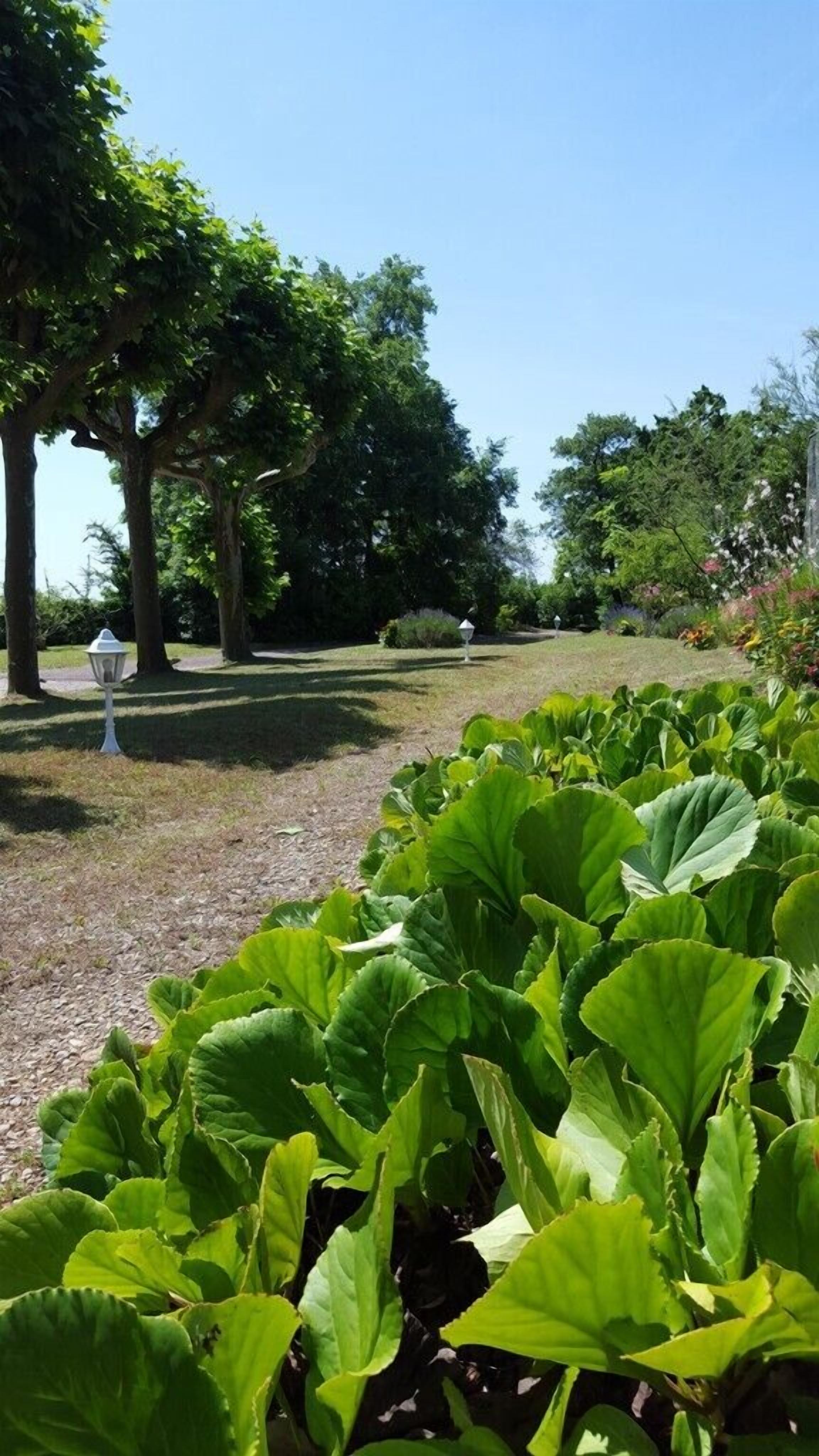 Foto - Parc de Biodiversité Le Castel - Maison d'hôtes & Table Bio
