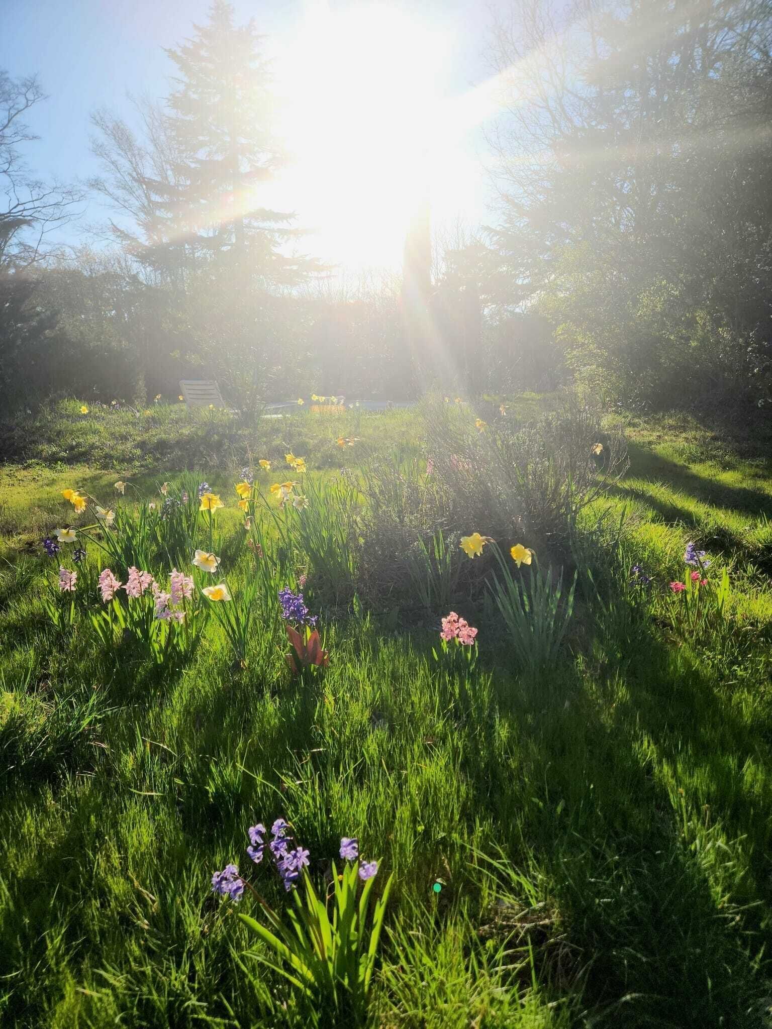 Foto - Parc de Biodiversité Le Castel - Maison d'hôtes & Table Bio