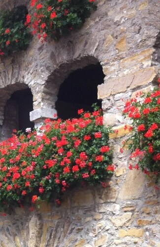 Affittacamere Nonna Leni