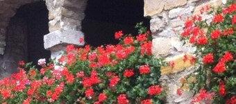 Affittacamere Nonna Leni