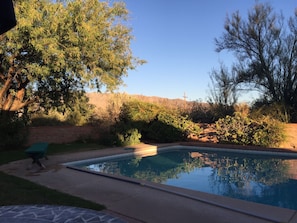 Seasonal outdoor pool, pool umbrellas, pool loungers