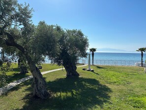 Villa, vue mer | Vue sur le jardin