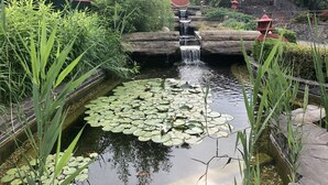 A tranquil garden with a small waterfall, lush greenery, and a pond with lily pads. - Therma Nea Dunajská Streda (Dunajska Streda)