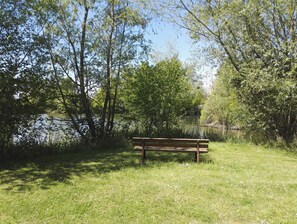 A park with a wooden bench near a body of water, surrounded by trees and grass. - Camping de Châlons-en-Champagne (Chalons-en-Champagne)