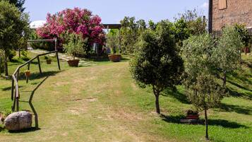 Vue sur le jardin